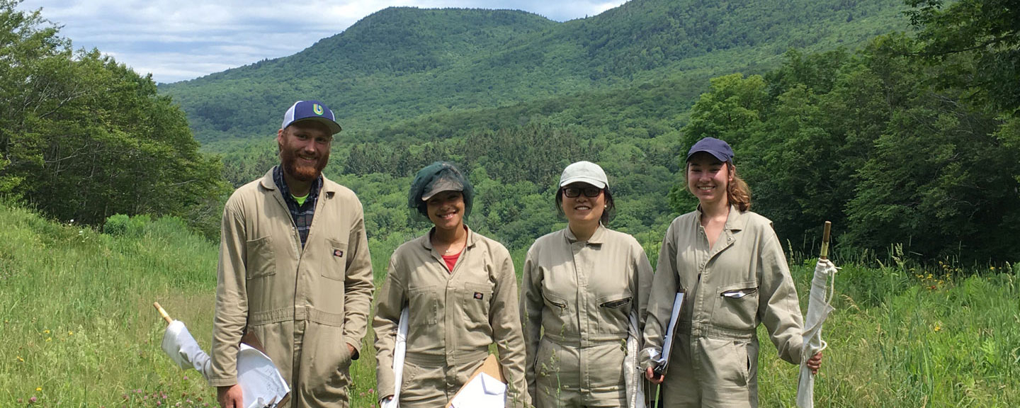Students doing a field experiment with bugs.