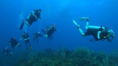 Students underwater as part of the ISER Caribe research.