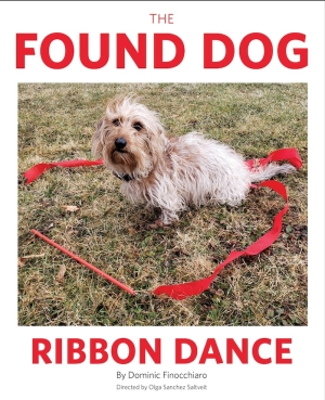 A small dog looking at the camera inside a ribbon circle