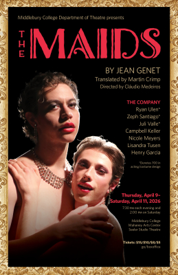 poster for the maids