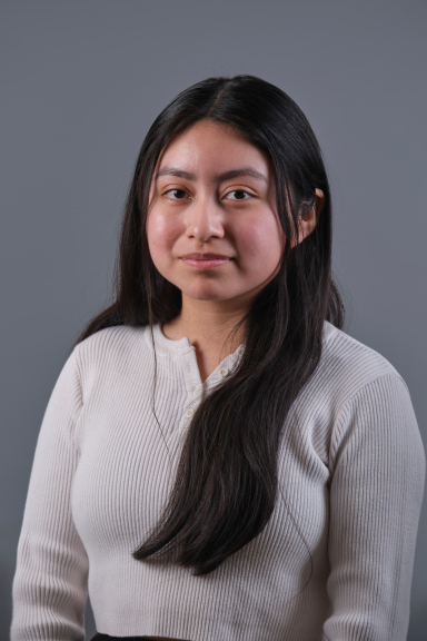 A photograph of Shirley Maldonado-Perez, wearing a gray henley shirt and smiling at the camera.