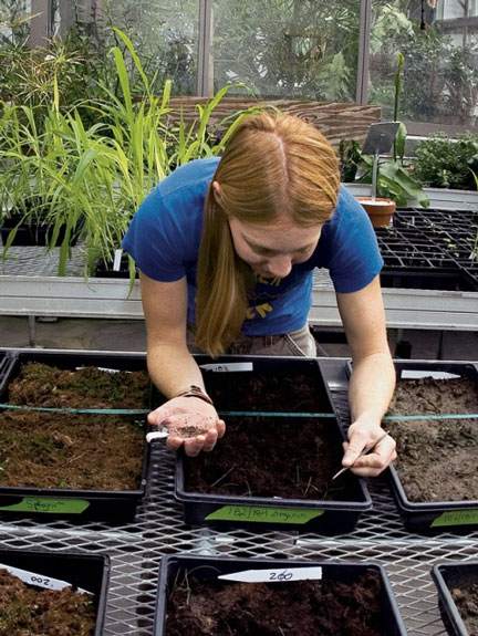 A student in the greenhouse