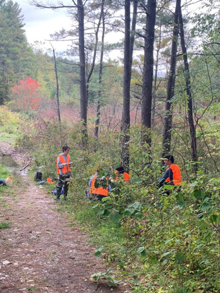 Students in the field