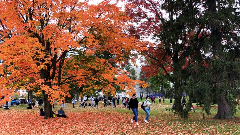 Students outside enjoying a fall day.