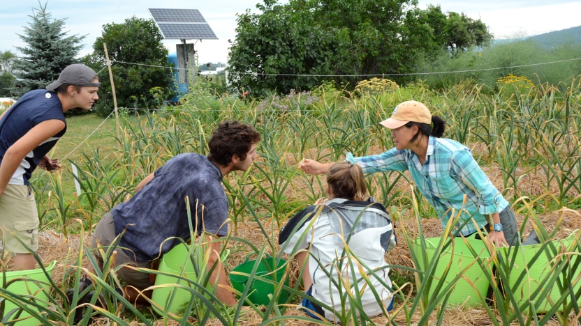 Working in the garden