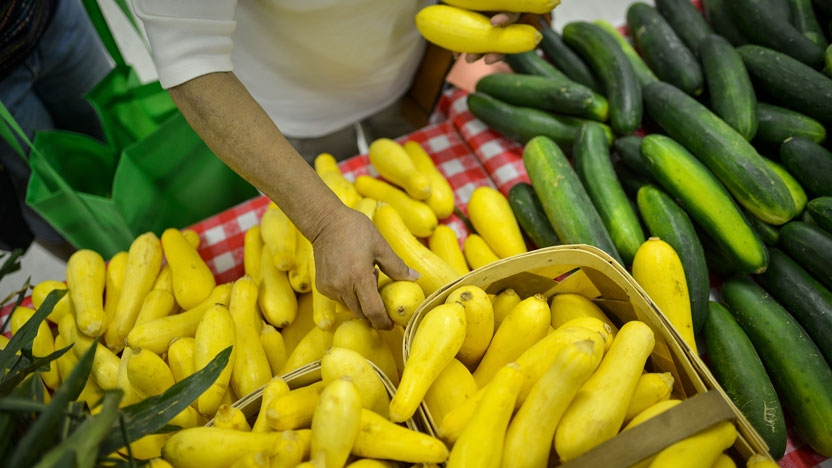 A student sorts through squash on a farm table.