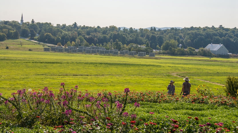 A view of the farm on the college campus. 