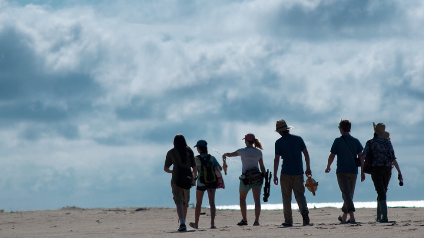 Students walking and doing lab work on a beach.