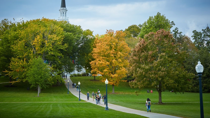 A path on campus in the fall.