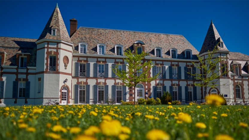 chateau with dandelions