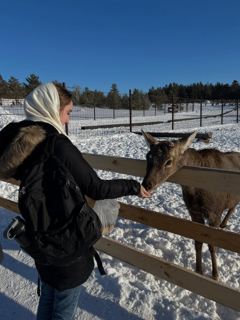 KZ Spring 26 Deer