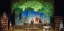 Into the Woods