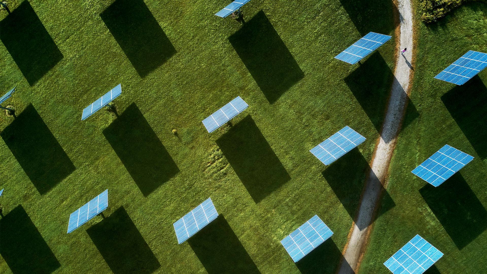 An aerial view of Middlebury's solar array field.