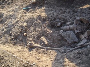 An archeological dig in Italy.