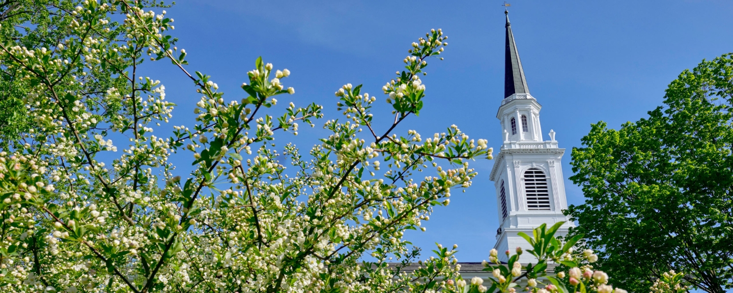 Photo of the top of Middlebury Chapel with tree in foreground and blue sky in background