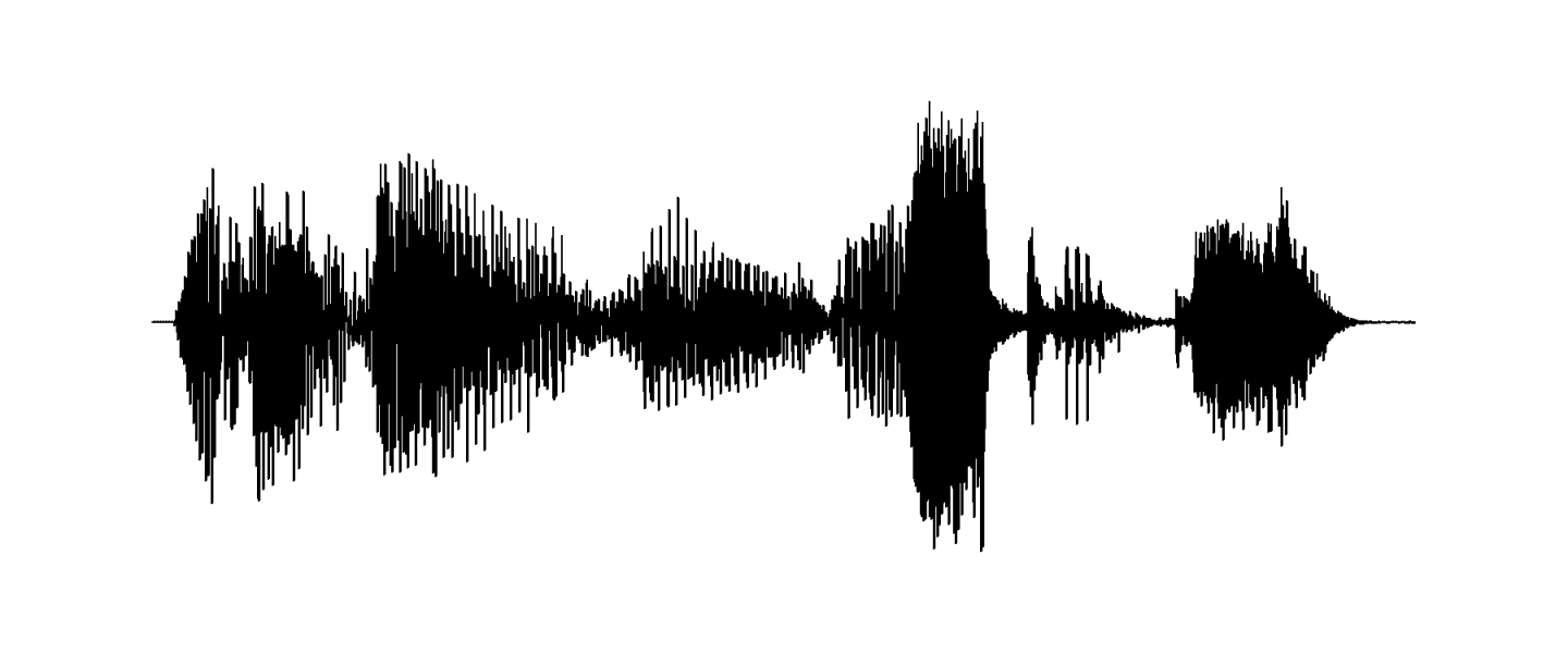 Sound waveform of the phrase Middlebury Linguistics