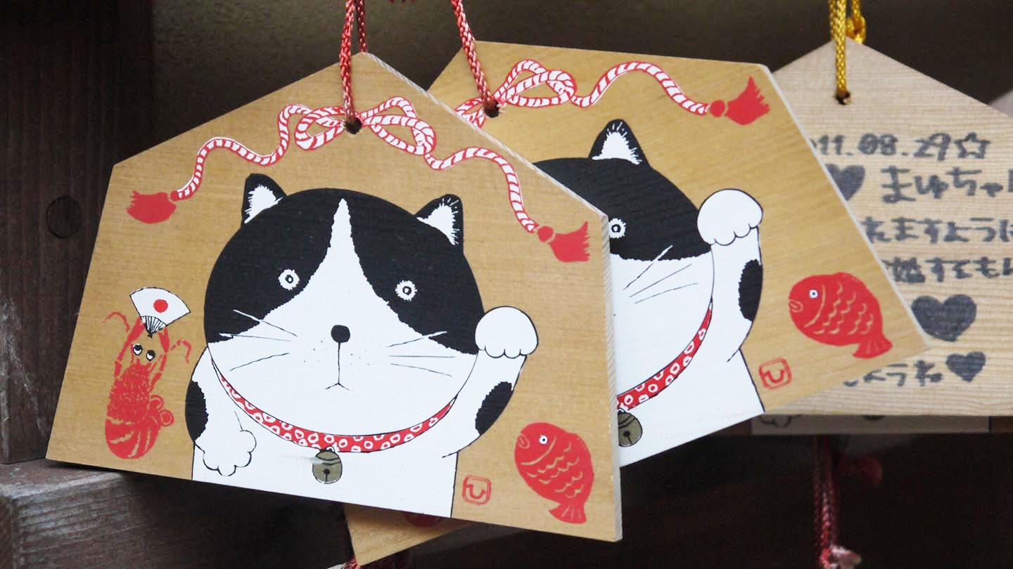 Illustrations of cats on cards