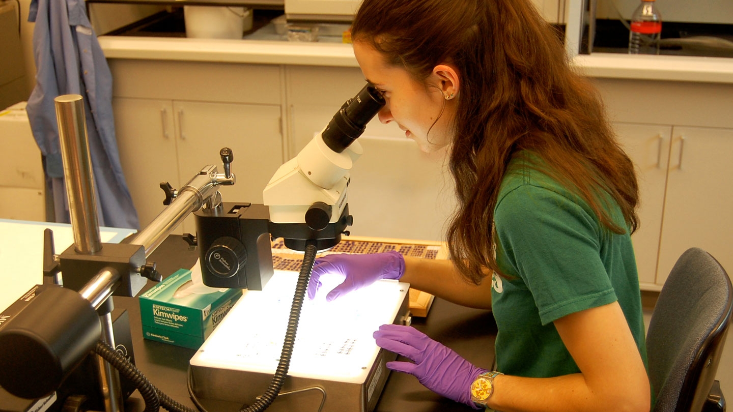 A student at work in a psychology lab.