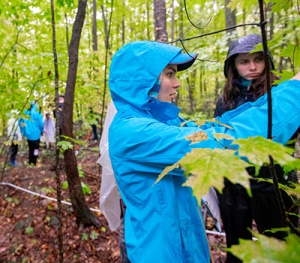 Students work in the field studying trees near the Middlebury Campus.
