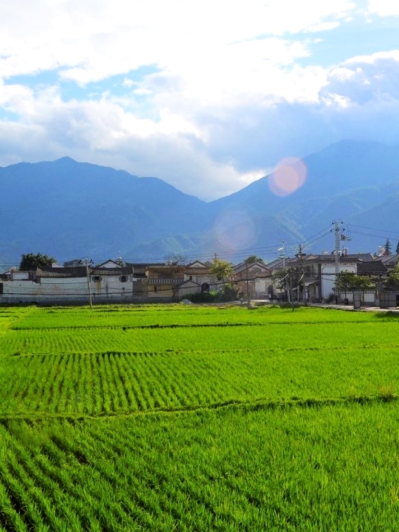 A green field in Yunnan Province, China