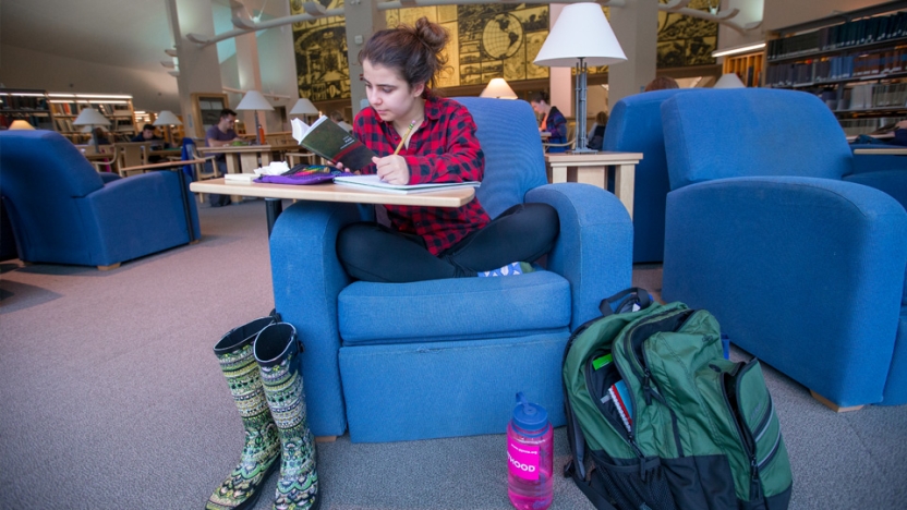 A student curls up with her studies in a comfy blue chair at Middlebury's David Library. 