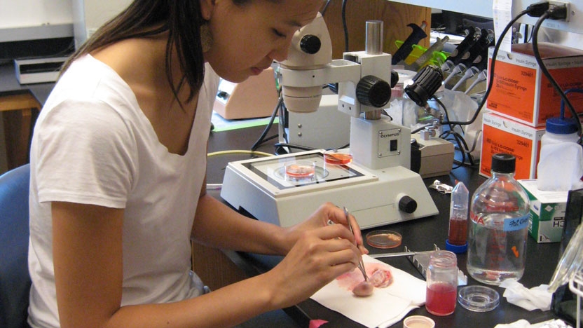 Student working in the biology lab.
