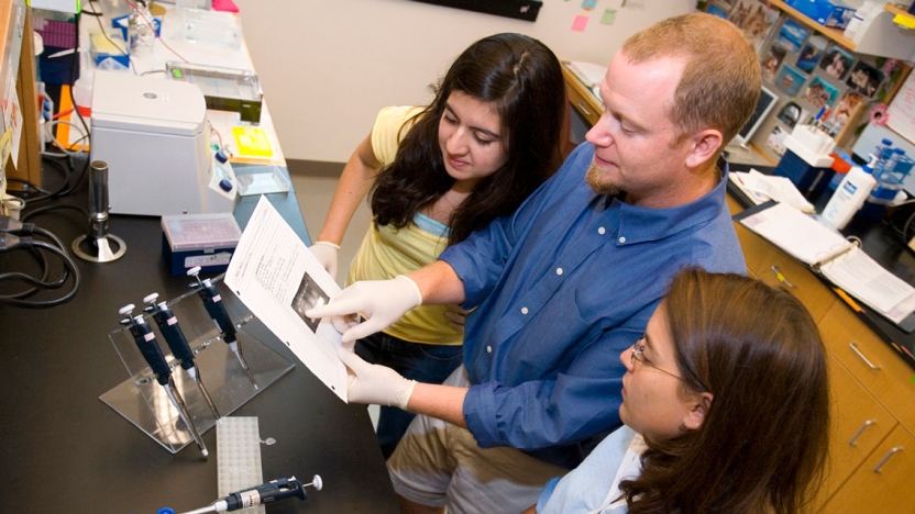 Professor Jeremy Ward works with students in his research lab.