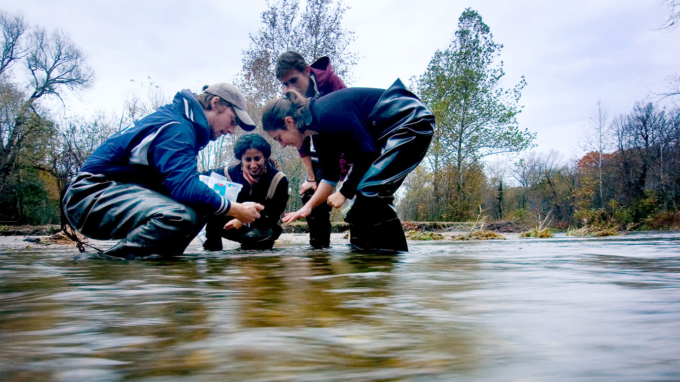 Two women and two men are kneeling in a stream. One of the men appears to be holding a sample they have taken from the stream and the other people at looking at his hand.