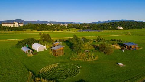 Image of a garden with mountains in the background