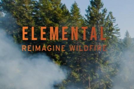 Image of trees surrounded by smoke from a fire