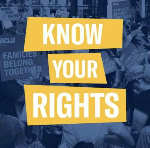 A poster with the text "Know Your Rights"