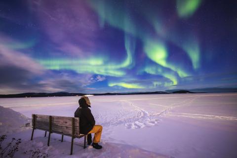 a person sitting on a park bench in winter looking at the northern lights