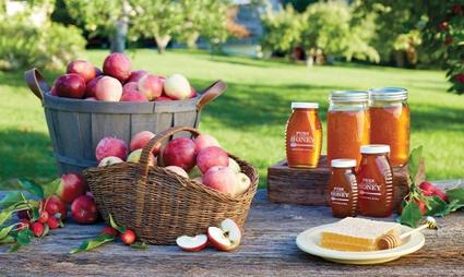 apples in baskets and honey jars on an outdoor table in orchard