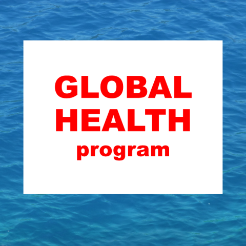 The words "global health program" in red letters inside a white square with a blue water design in the background.