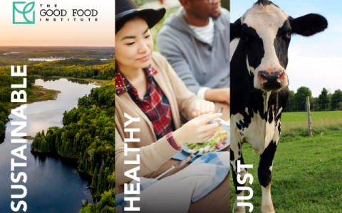 GFI: Sustainable, Healthy, and Just Food Systems