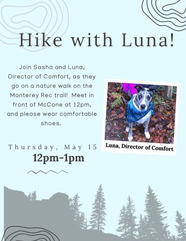 Flyer for a nature walk with dog