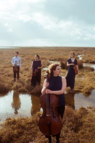 Quartet standing in a marsh holding their instruments