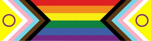 Progress Pride Flag Banner