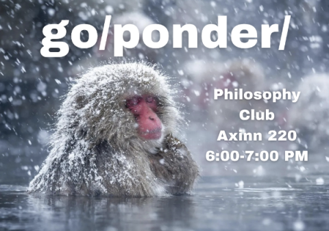 A monkey sitting in a body of water, with eyes closed in contemplative thought. Snow is falling.