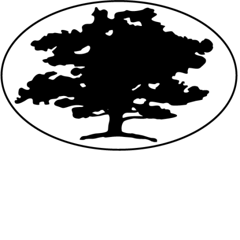 chestnut tree