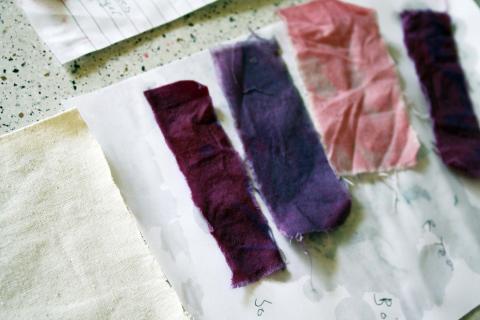 Strips of cloth dyed in different shades of purple and pink, most likely from berries.