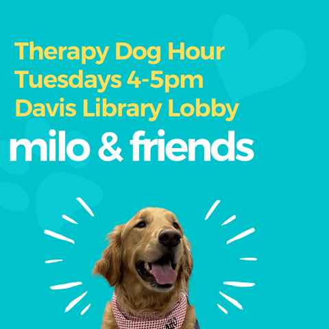Golden Retriever therapy dog milo surrounded by some starburst illustrations on a teal background with text that reads "Therapy Dog Hour Tuesdays 4-5pm Davis Library Lobby, milo & friends"