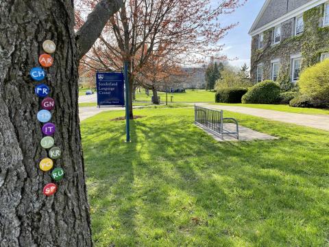 Language Schools buttons attached to a tree in front of Sunderland Language Center