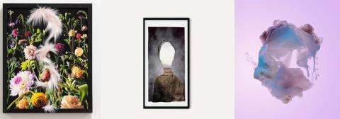 Eco Echo Collective Art