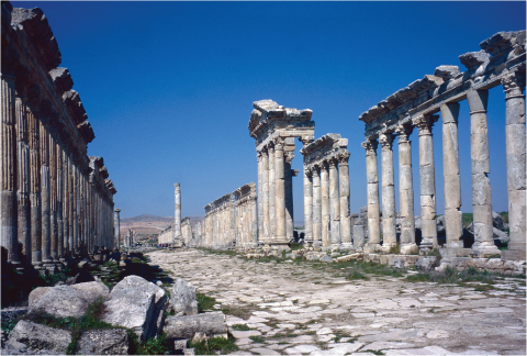 the main street (cardo maximus) in Apamea, Syria