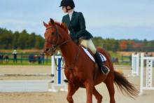 Image of a person riding a horse