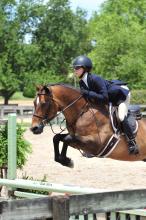 Photo of a girl on a horse jumping over a fence