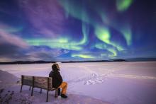 a person sitting on a park bench in winter looking at the northern lights