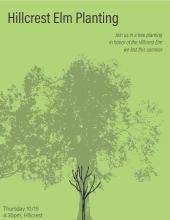 Green background with image of small tree imposed on larger tree.