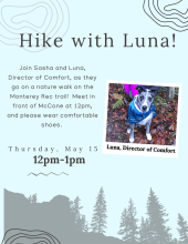 Flyer for a nature walk with dog